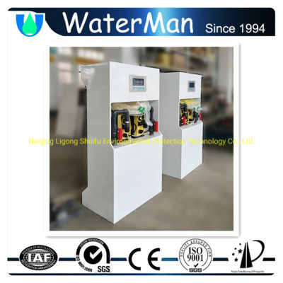 Chlorine Dioxide Generator for Well Water Disinfection 600g/H Manual Control